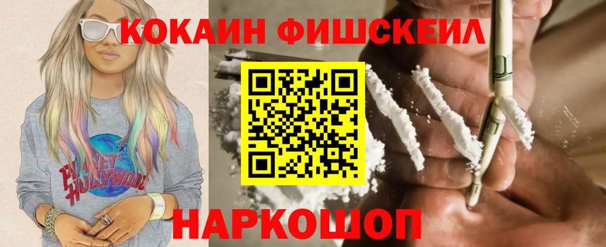 Cocaine FishScale  дарнет шоп  Вязники  Вход с VPN  Cocaine Fish Scale 