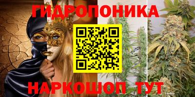прущие грибы Чапаевск
