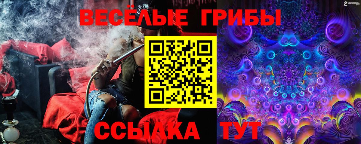 Вязники  Псилоцибиновые грибы мухоморы  Вход с VPN  Псилоцибиновые грибы Psilocybe 